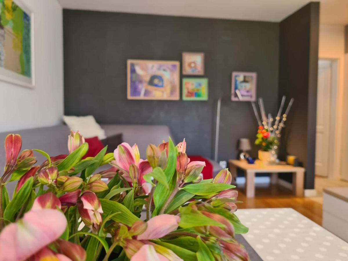 Apartment Vedrana Rovinj Dış mekan fotoğraf